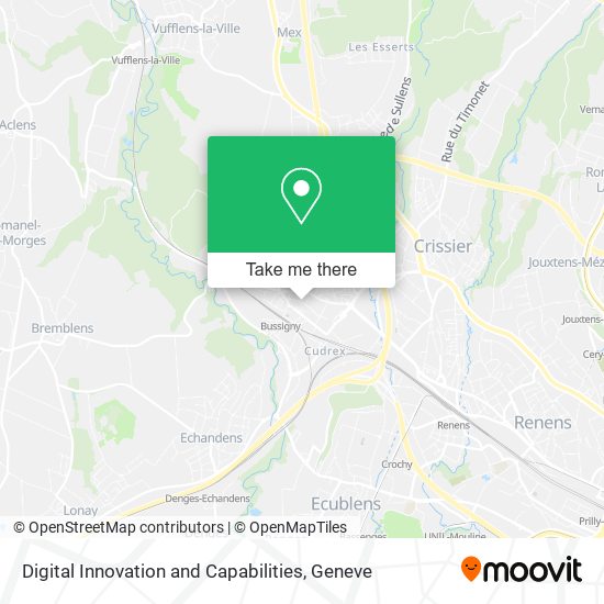 Digital Innovation and Capabilities map