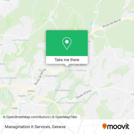 Managination It Services map