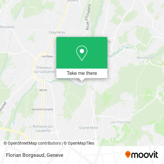 Florian Borgeaud plan