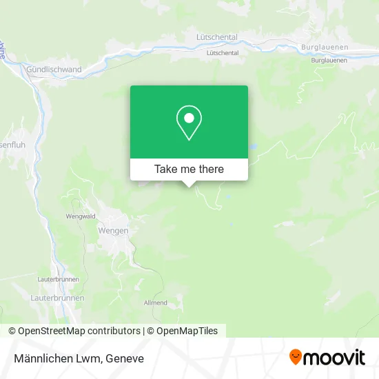 Männlichen Lwm plan