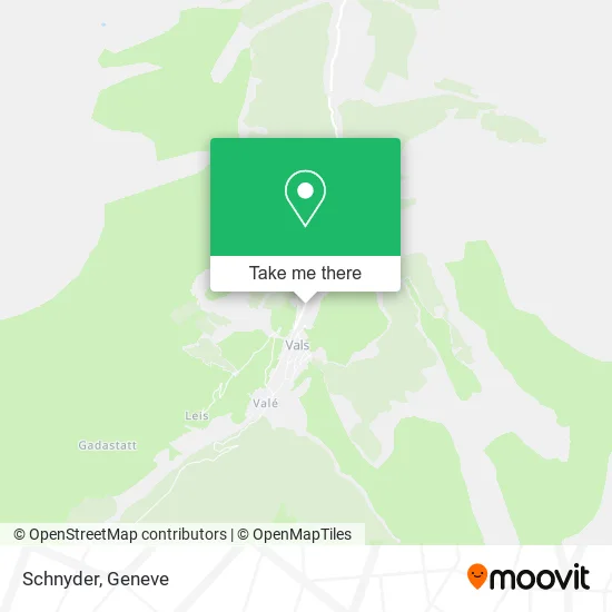 Schnyder map