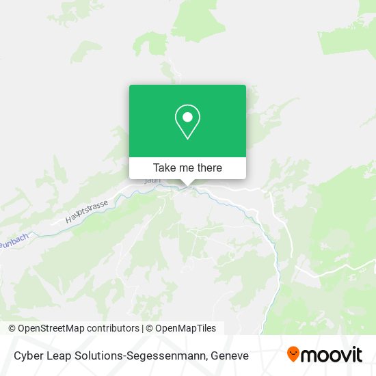 Cyber Leap Solutions-Segessenmann map