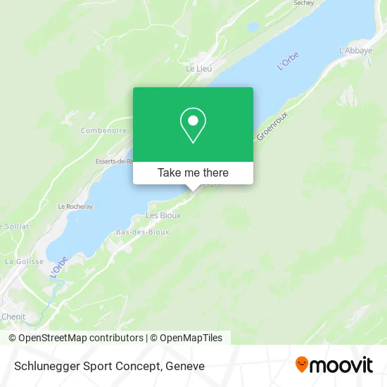 Schlunegger Sport Concept map