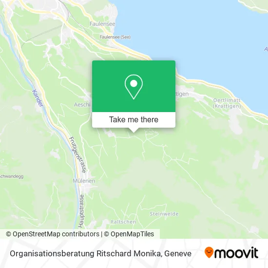 Organisationsberatung Ritschard Monika map