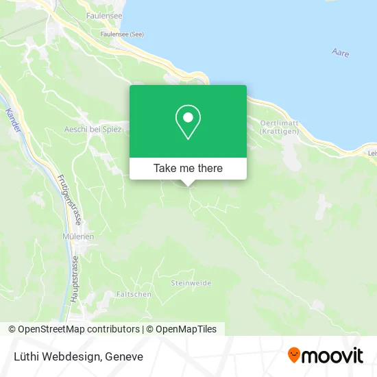 Lüthi Webdesign map