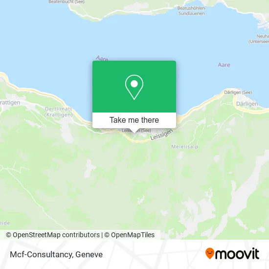 Mcf-Consultancy plan