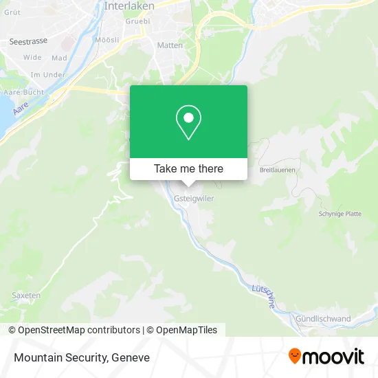Mountain Security map