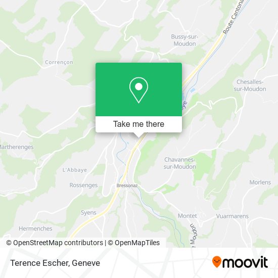 Terence Escher map