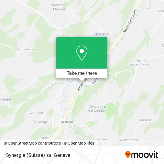 Synergie (Suisse) sa map