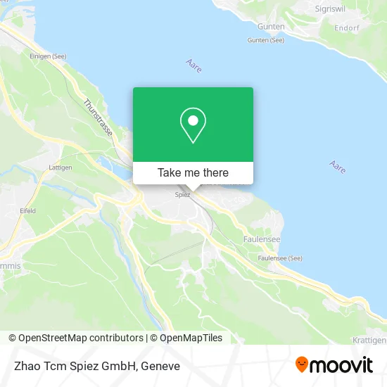 Zhao Tcm Spiez GmbH map