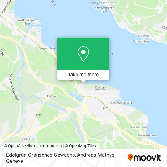 Edelgrün-Grafisches Gewächs, Andreas Mathys map