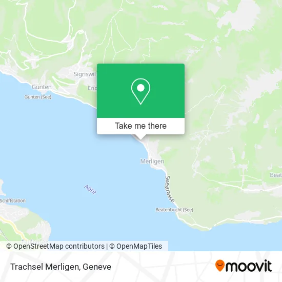 Trachsel Merligen map