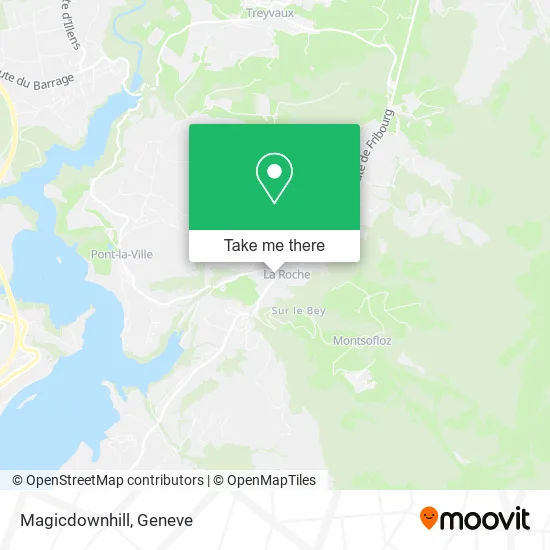 Magicdownhill map