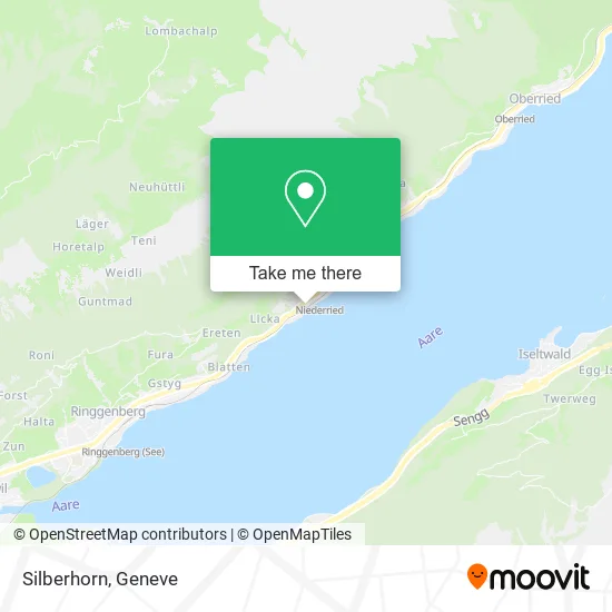 Silberhorn plan