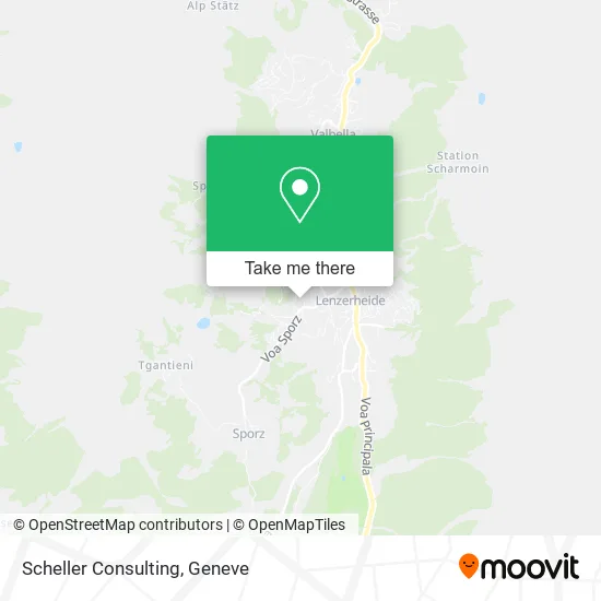 Scheller Consulting plan