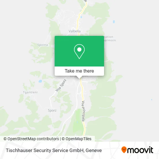 Tischhauser Security Service GmbH map