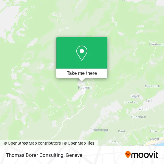 Thomas Borer Consulting map