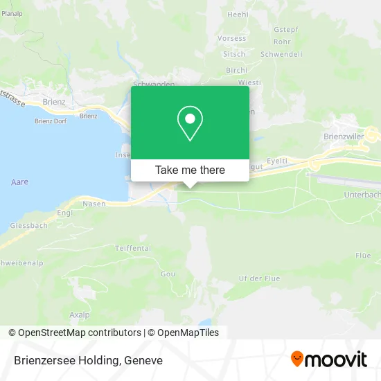Brienzersee Holding map