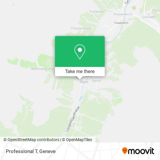 Professional T map