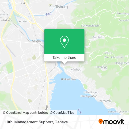 Lüthi Management Support map
