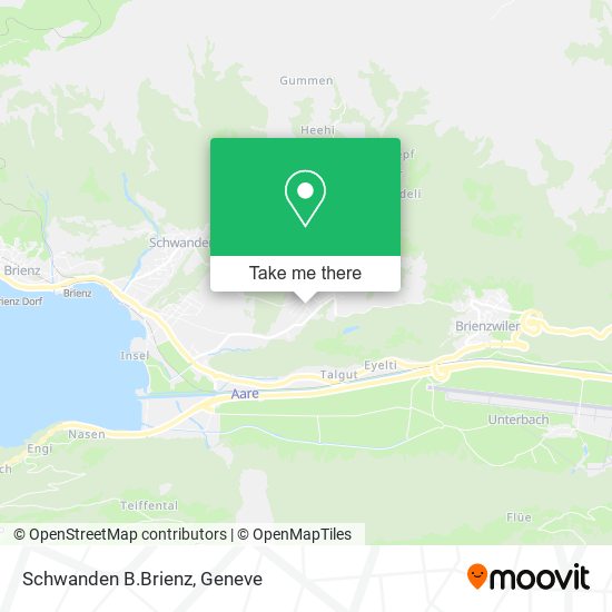 Schwanden B.Brienz map