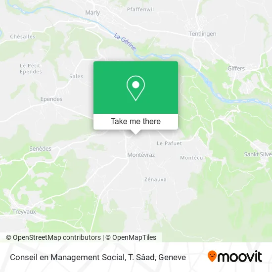 Conseil en Management Social, T. Sâad map