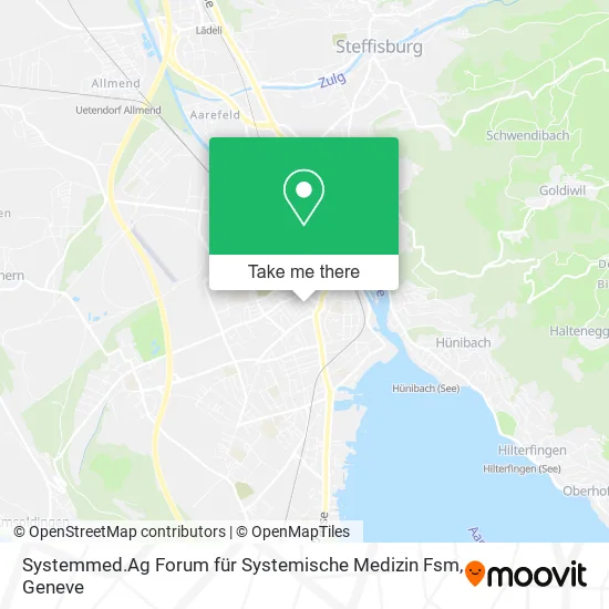 Systemmed.Ag Forum für Systemische Medizin Fsm map