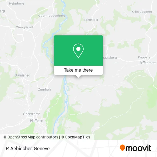 P. Aebischer map