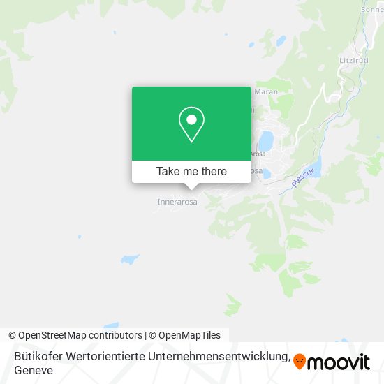 Bütikofer Wertorientierte Unternehmensentwicklung map