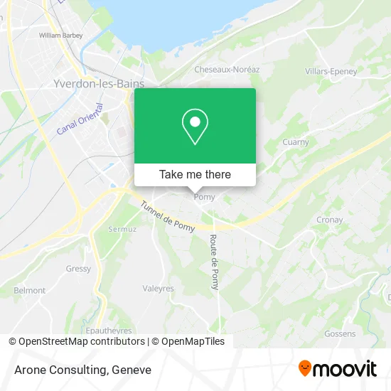 Arone Consulting plan