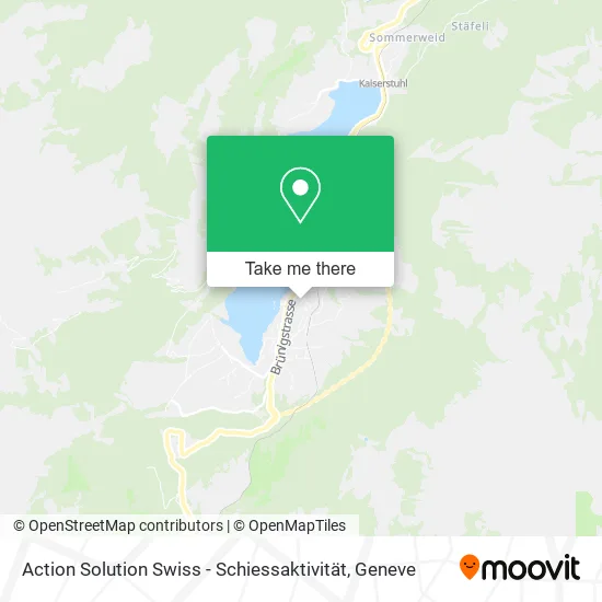 Action Solution Swiss - Schiessaktivität map