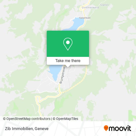 Zib Immobilien map