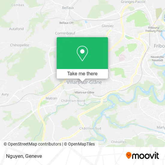 Nguyen map