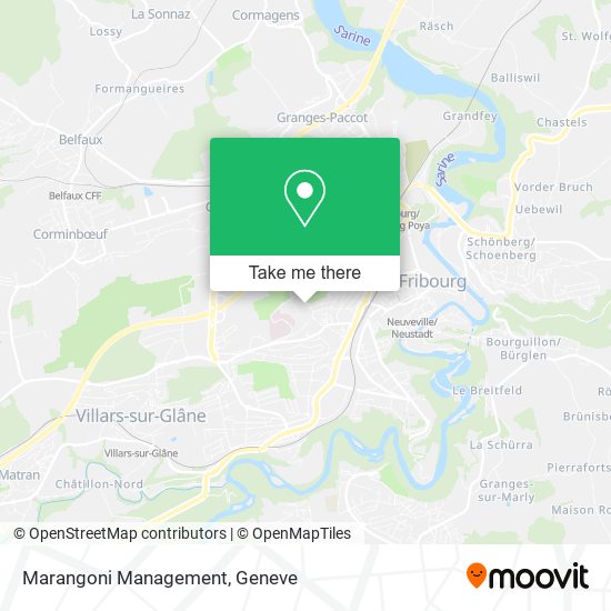 Marangoni Management map