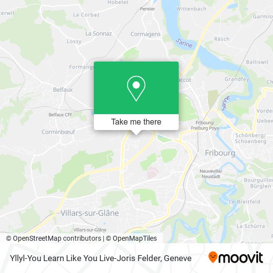 Yllyl-You Learn Like You Live-Joris Felder map