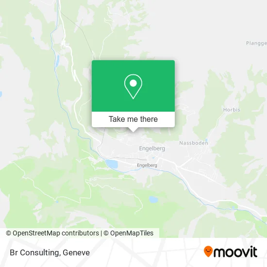 Br Consulting map