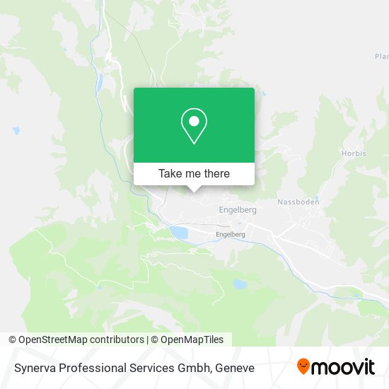 Synerva Professional Services Gmbh map