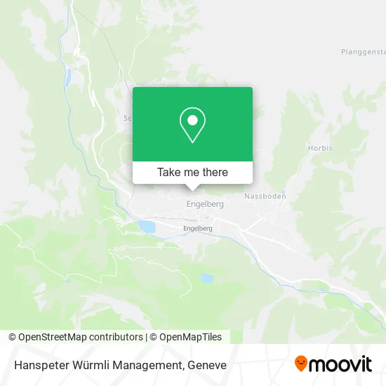 Hanspeter Würmli Management map