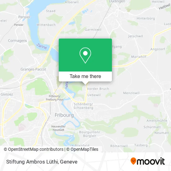 Stiftung Ambros Lüthi plan