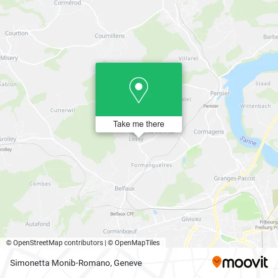 Simonetta Monib-Romano map