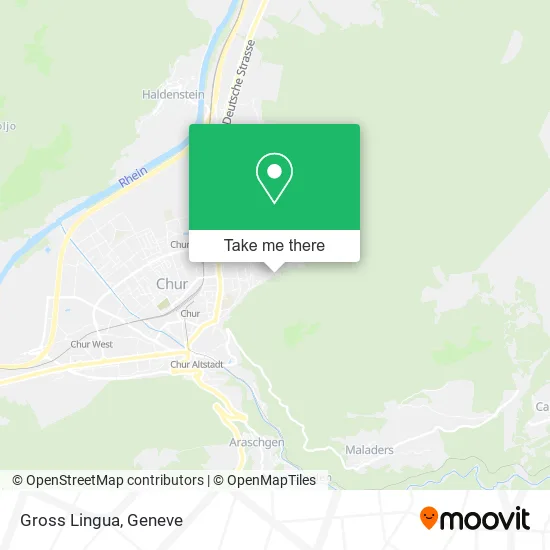 Gross Lingua map