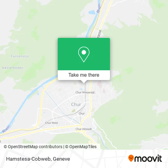 Hamstesa-Cobweb map