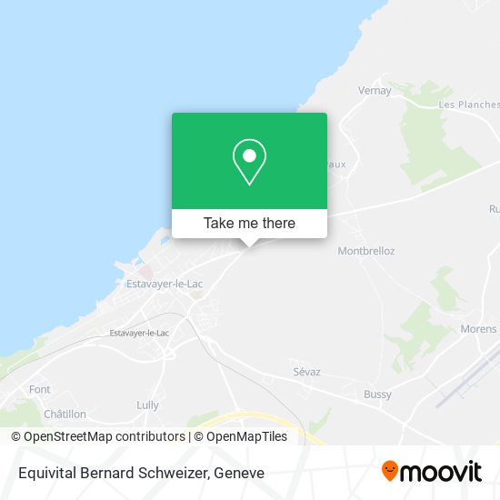 Equivital Bernard Schweizer map