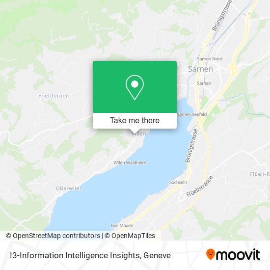 I3-Information Intelligence Insights map