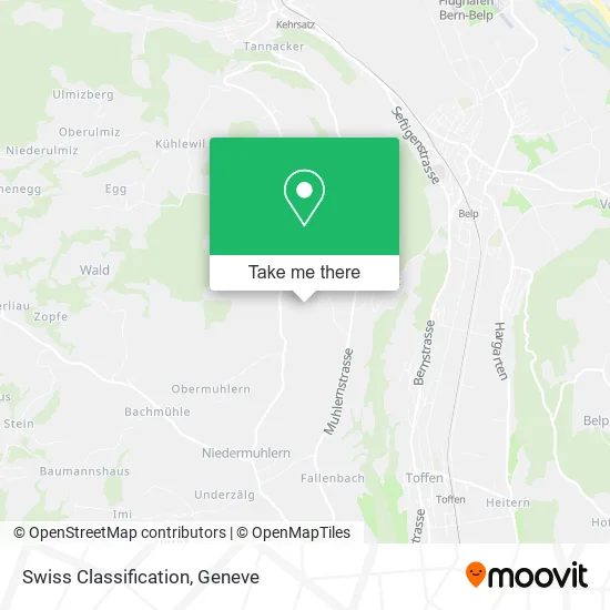 Swiss Classification plan