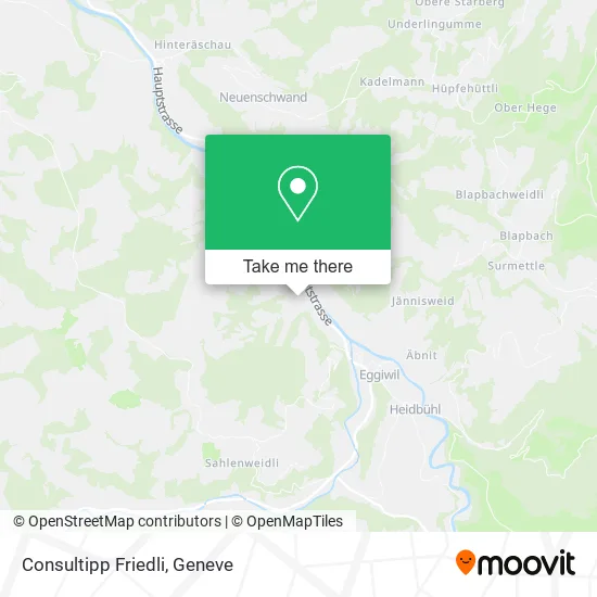 Consultipp Friedli map