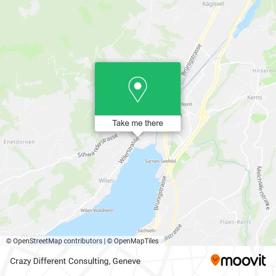 Crazy Different Consulting map