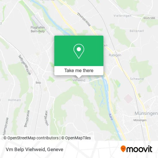 Vm Belp Viehweid plan