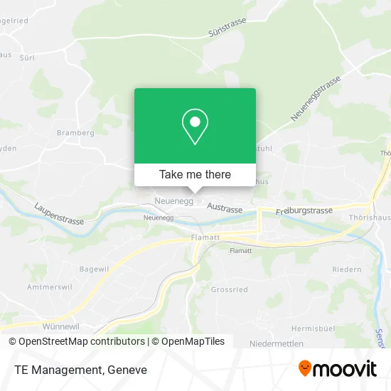 TE Management map