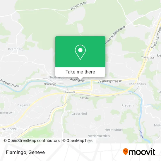 Flamingo map